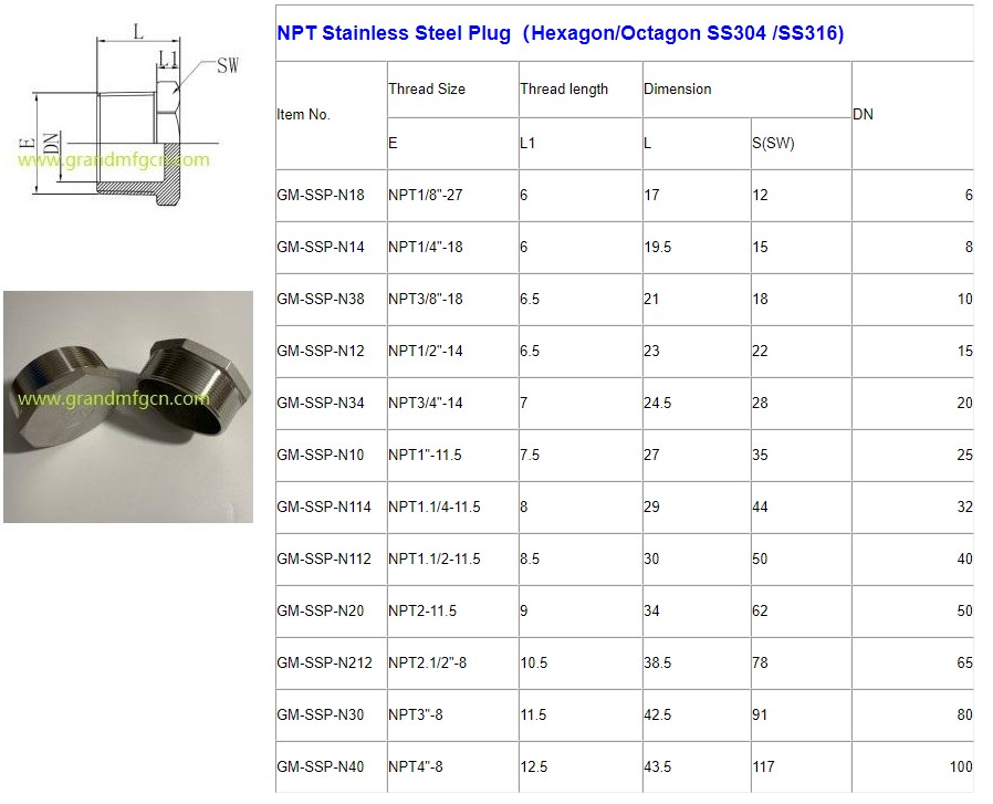 NPT Stainless Steel Plug（HexagonOctagon SS304 SS316).JPG